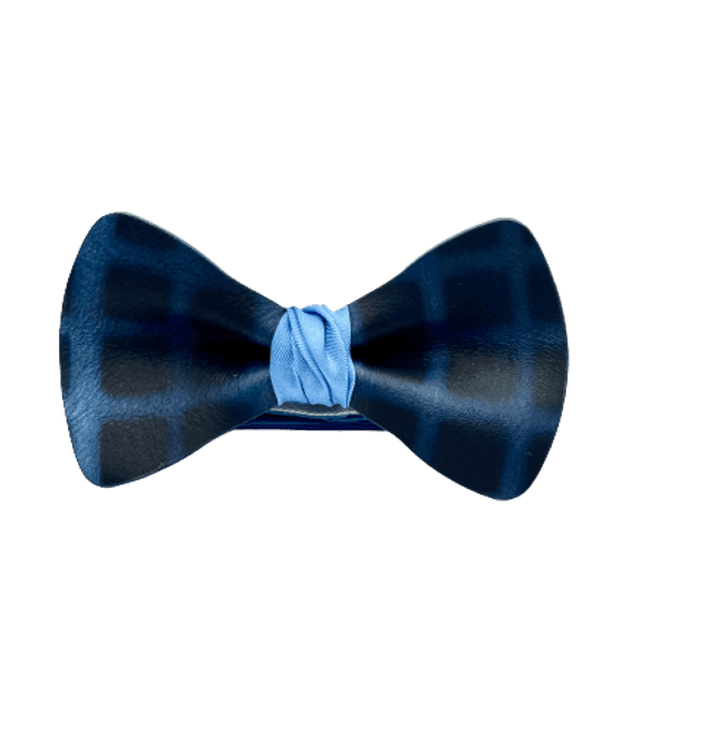 R&#039; noeud Terbaro Bleu Roi